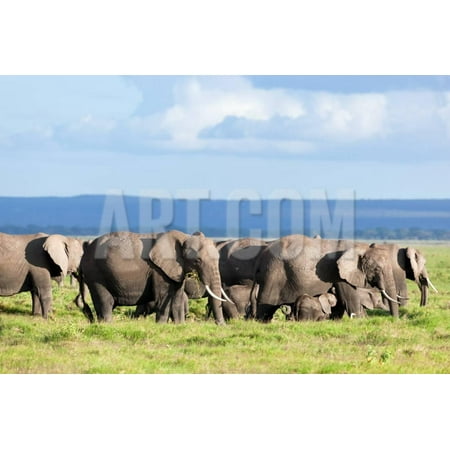 Elephants Herd on African Savanna. Safari in Amboseli, Kenya, Africa Print Wall Art By Michal