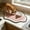Pink-PK-clearacne, variant on OEFNTAC Quick Drying Pet Feeding Mat Absorbent Non-Slip Cat Dog Bowl Tray Waterproof Indoor Food Water Dish Liner Training Feeding Pad Kitchen Home Puppy Kittens Multi-Use 15.74x15.74in