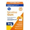 Kroger Coated Fruit Wave Nicotine Gum Stop Smoking Aid, 2mg 100 Pieces *EN