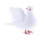 thumbnail image 2 of 2 adornos de simulación de blancas decorativas de plumas para pájaros, 2 of 9