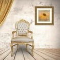 thumbnail image 3 of Gray, Gaille 26x26 Gold Ornate Wood Framed with Double Matting Museum Art Print Titled - Echinacea In Yellow, 3 of 4