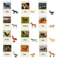 thumbnail image 1 of CIMAXIC 1 Set Animal Model Cards Matching Cognitive Toy English Cards Animal Model Toy,1.57"X0.79"X0.39", 1 of 4