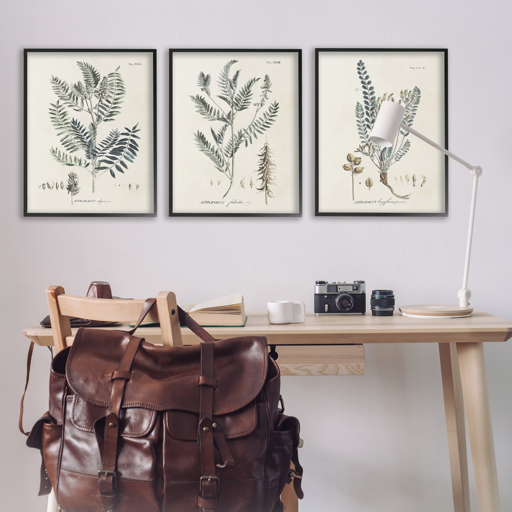 Stupell Industries Woodland Plant Studies Botanical & Floral Painting Black Framed Art Print Wall Art, 24 x 30, Set of 3