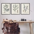 thumbnail image 3 of Stupell Industries Woodland Plant Studies Botanical & Floral Painting Black Framed Art Print Wall Art, 24 x 30, Set of 3, 3 of 10