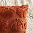 thumbnail image 2 of Fall Throw Pillow Covers 18x18 Set of 2 Autumn Decorations Rust Pumpkin Accent Pillowcase for Outdoor Porch Sofa Couch Bed Living Room Plush Faux Fur Halloween Farmhouse Home Decor, 2 of 9