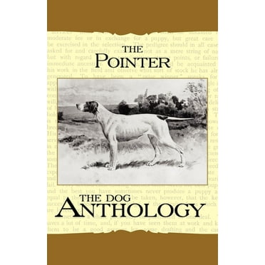 Vintage Dog Books Breed Classic: The Pointer - A Dog Anthology (A Vintage Dog Books Breed Classic) (Paperback)