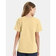 thumbnail image 3 of Hanes Essential-T Youth T-Shirt, 3 of 5