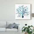 thumbnail image 3 of Trademark Fine Art 'Fan de la Mer II' Canvas Art by Grace Popp, 3 of 4
