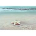 thumbnail image 2 of Nan 18x13 White Modern Wood Framed Museum Art Print Titled - Beach Set Starfish, 2 of 4