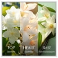 thumbnail image 6 of Chanson d’Eau Les Eaux du Monde Luminous & Vibrant White Floral Fragrance Eau de Toilette for Women Jasmine 3.3 oz, 6 of 8