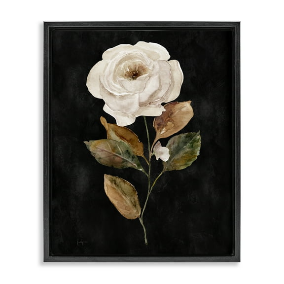 Stupell Industries White Rose on Black Plants & Flowers Painting Black Floater Framed Canvas Art Print Wall Art, 17 x 21