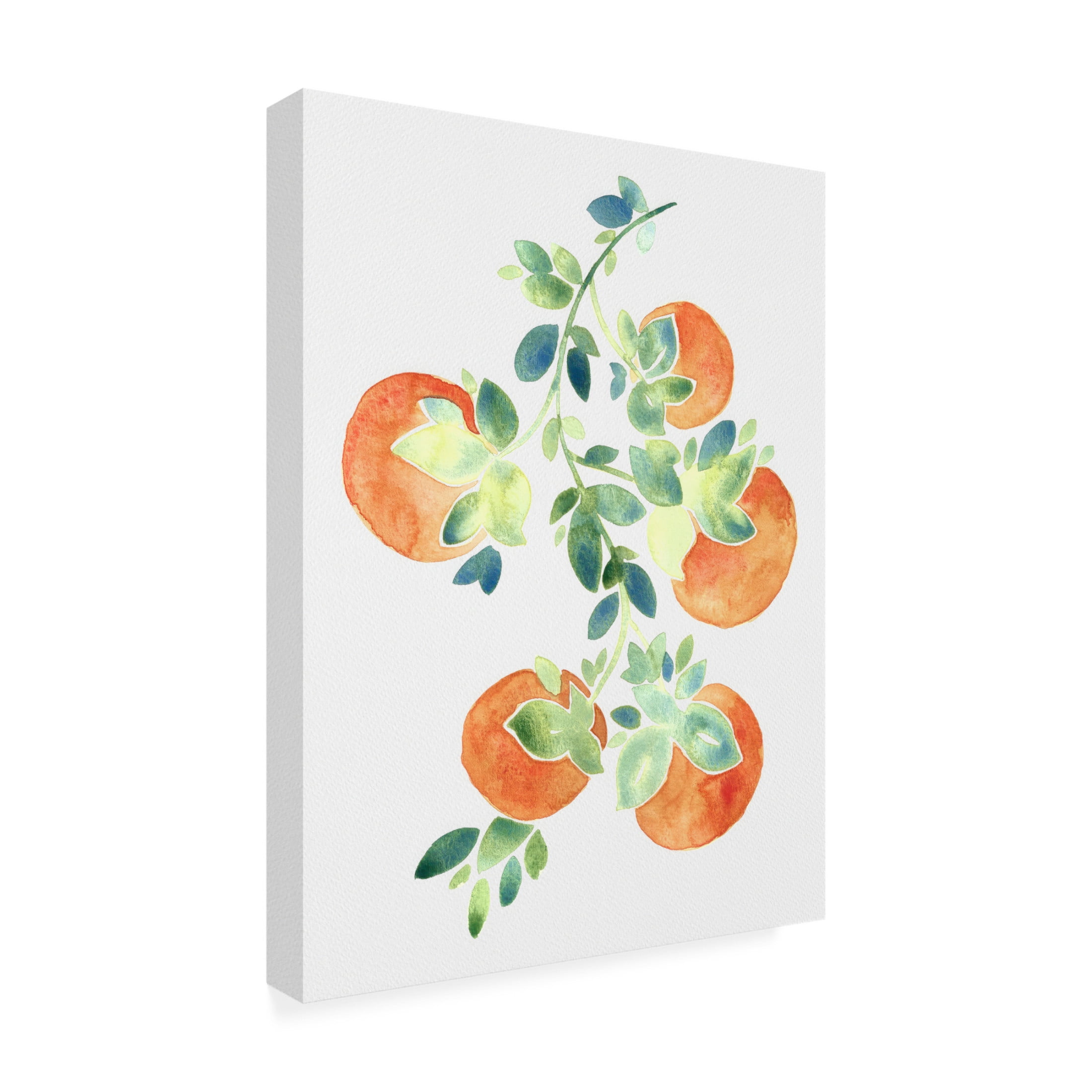 Canvas Wall Art - Cami Juncos 'Watercolor Oranges' Wall Art for Living Room, Bedroom, or Office Décor by Trademark Fine Art - 35 x 47 Inches