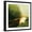 Black Frame, variant on Art.com Spring Morning Stretched Canvas Print Wall Art by Julia Purinton, 30" x 30"