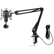 Blue Blackout Spark SL Studio Condenser Recording Microphone+Audio Technica Boom