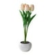 thumbnail image 3 of Flores Artificiales Jinwen Tulipanes Creativos con Ramo LED Lámpara Rosado, 3 of 8