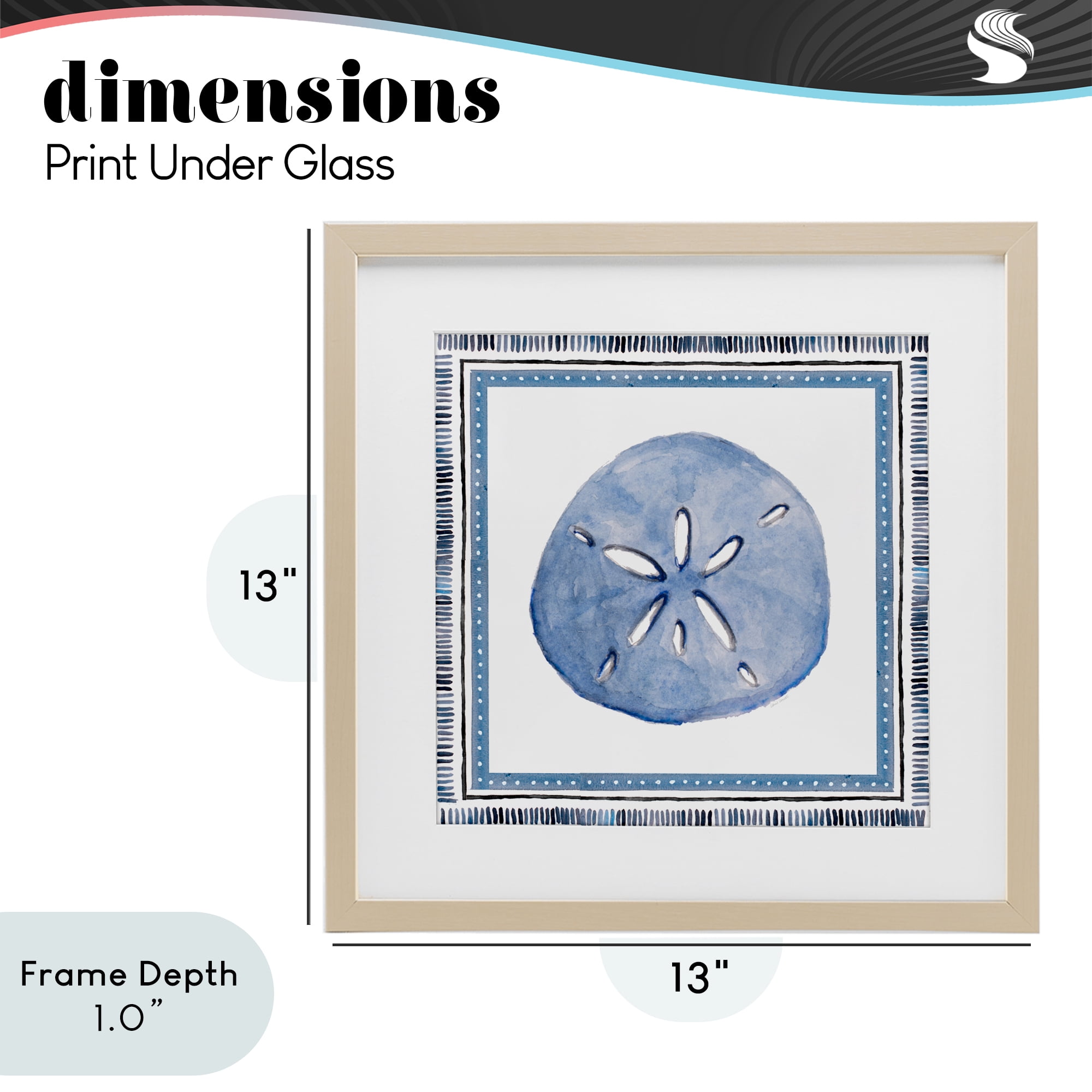 Stupell Industries Blue Bordered Sand Dollar Birch Framed Print Under Glass, design by Lanie Loreth