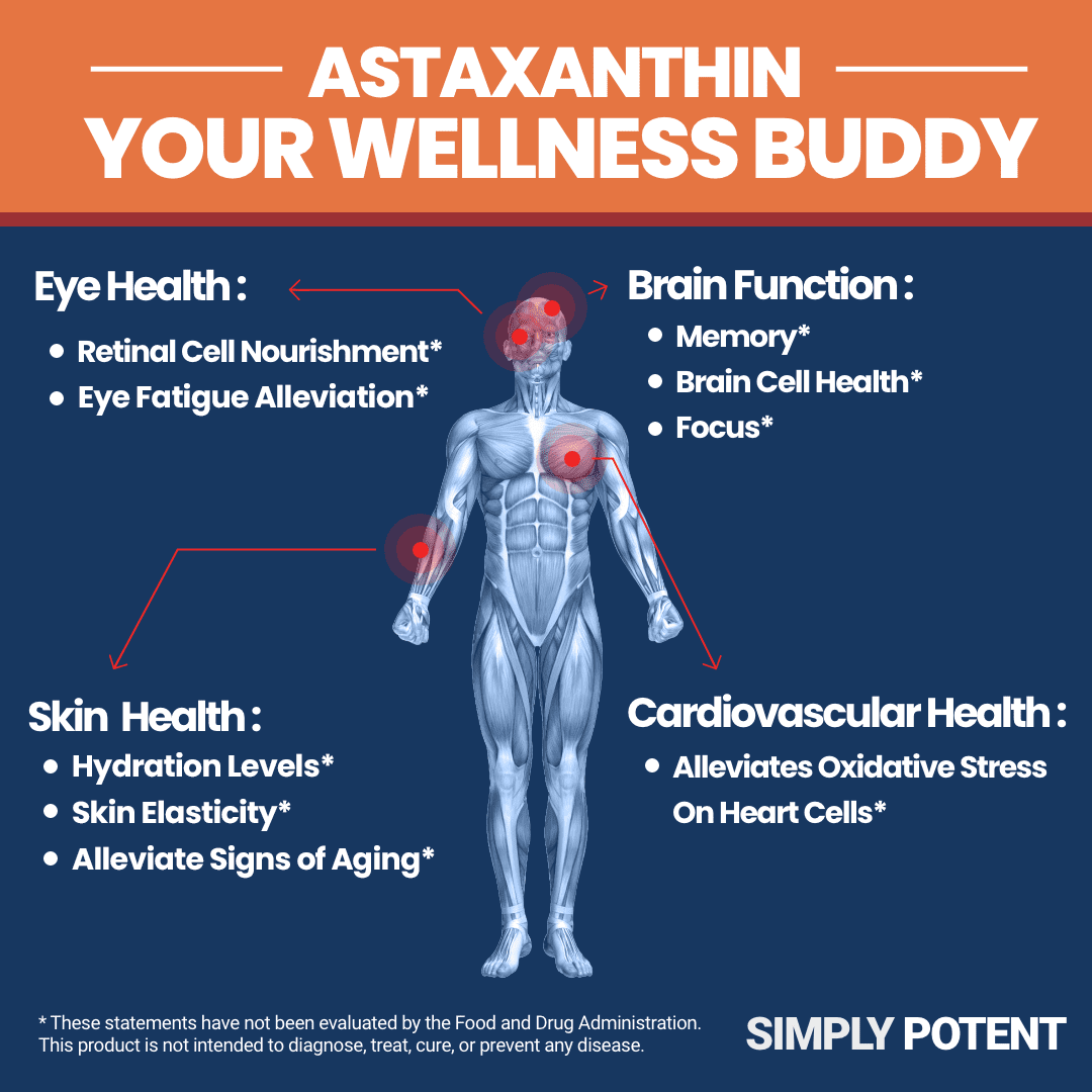 Simply Potent Astaxanthin 10mg Supplement — 120 Softgels (4 Month Supply) | Natural Algae Antioxidant for Eye, Joint, Skin, Heart & Brain Health | Non-GMO, Gluten Free