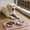 Pink, variant on Naxoaeo Silicone Pet Feeding Mat, Waterproof Non-Slip Dog Cat Bowl Placemat, Food Grade Tray for Small Animals, Spill-Proof Protector for Floor, Easy Clean Dishwasher Safe
