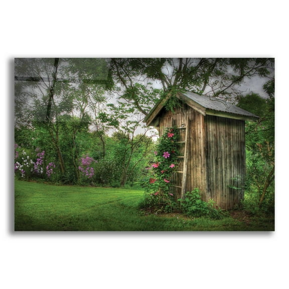 Epic Art 'Fragrant Outhouse' by Lori Deiter, Acrylic Glass Wall Art, 24"x16"