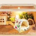 thumbnail image 1 of BELOVING Guinea Pig Cave Bed Guinea Pig House for Small Animals Sugar Gliders Rabbits M, 1 of 9