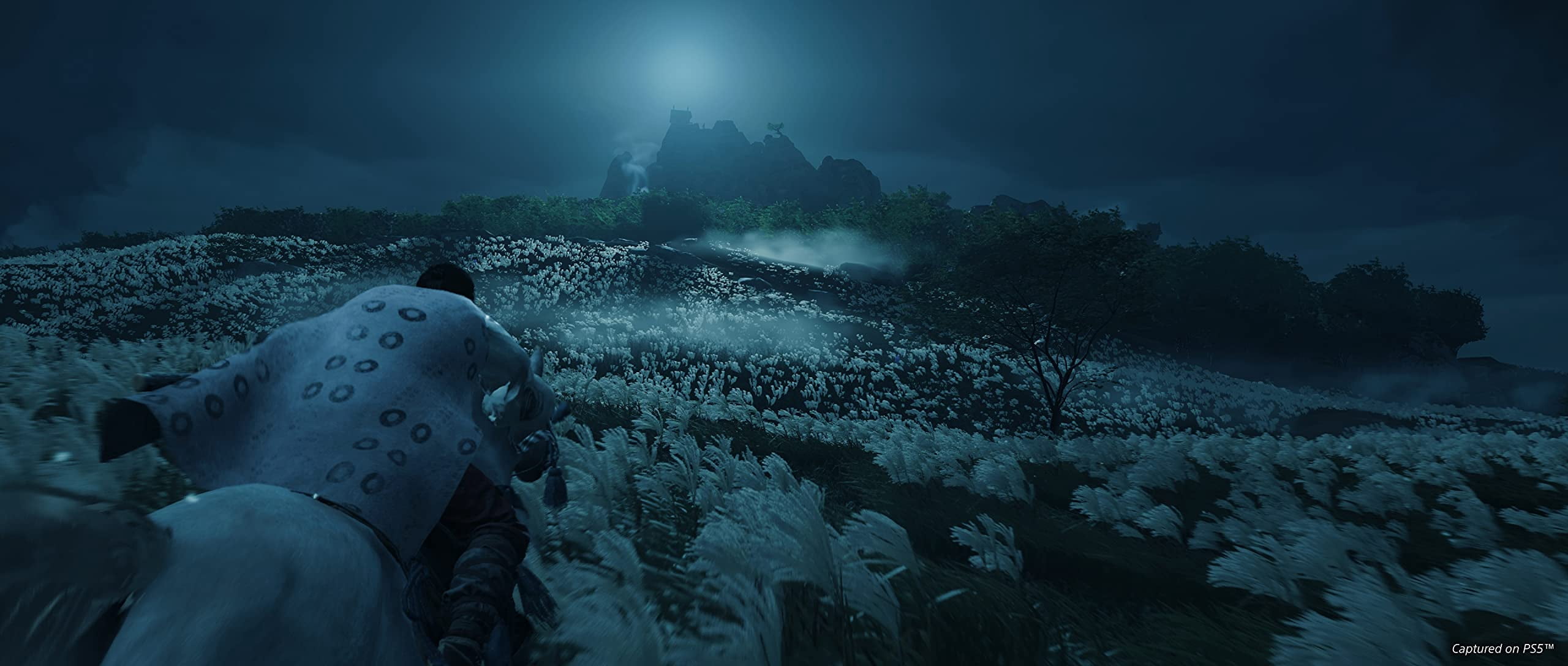 Ghost of Tsushima: Director's Cut, Sony, PlayStation 4, 711719548829