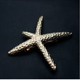 thumbnail image 3 of Zhuge Pinza para el pelo para mujer, niña, bebé, pasador para el pelo de playa, horquilla con forma de estrella de mar para boda, graduación, 3 of 5