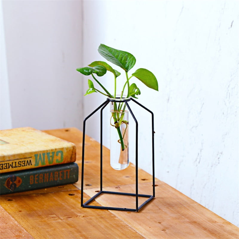 Geometric Metal Wire Vase Rack, Hydroponic Plant Transparent Test Tube
