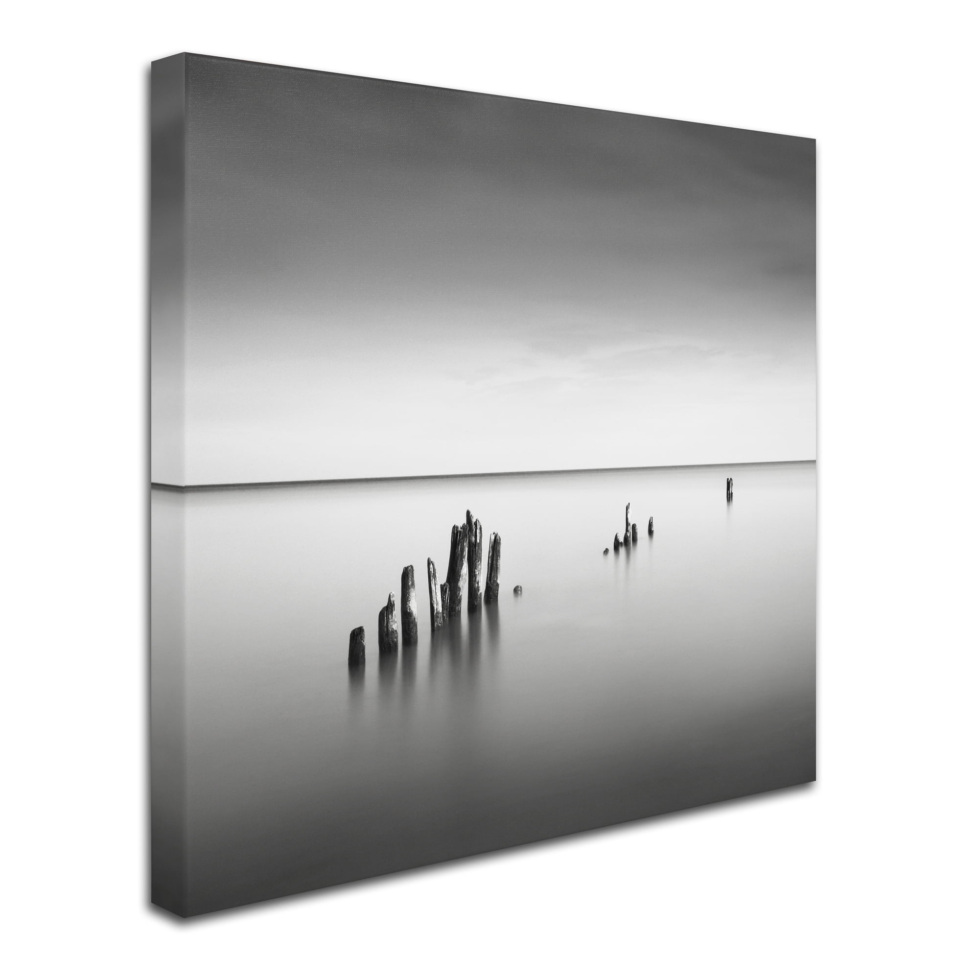Trademark Fine Art "Slow Fade" Canvas Art by Dave MacVicar