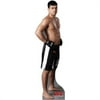 Advanced Graphics 71 Lyoto Machida Life Size Cardboard Standup