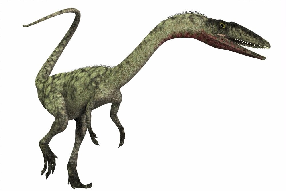 bipedal dinosaurs list