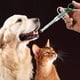thumbnail image 3 of piezas Dispensador de pastillas para gatos, pastillero para perros, pistola de pastillas, pastilla para mascotas, 3 of 5