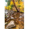 thumbnail image 2 of Bishop, Russ 11x14 Gold Ornate Wood Framed with Double Matting Museum Art Print Titled - Fall color along Bishop Creek-Inyo National Forest-California-USA, 2 of 4
