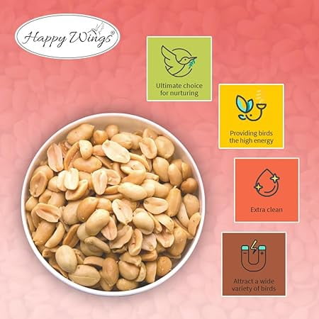 Happy Wings Shelled Peanuts Seeds Wild Bird Food - 5 Pounds I No Grow Seed I Bird Seed for Wild Birds