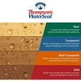 thumbnail image 6 of Thompsons Waterseal Transparent Wood Sealer Chestnut Brown 5 gal, 6 of 6