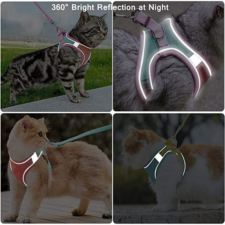 Cat leash walmart hot sale