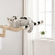 thumbnail image 2 of Percha para ventana de gato Zulema hamaca resistente para gatos Asiento de ventana 60 cm x 39,5 cm x 21,5 cm, 2 of 8