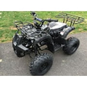 Tao Tao T Force 125 cc ATV Reverse and Big 19 18 Tires Utility Model Carb