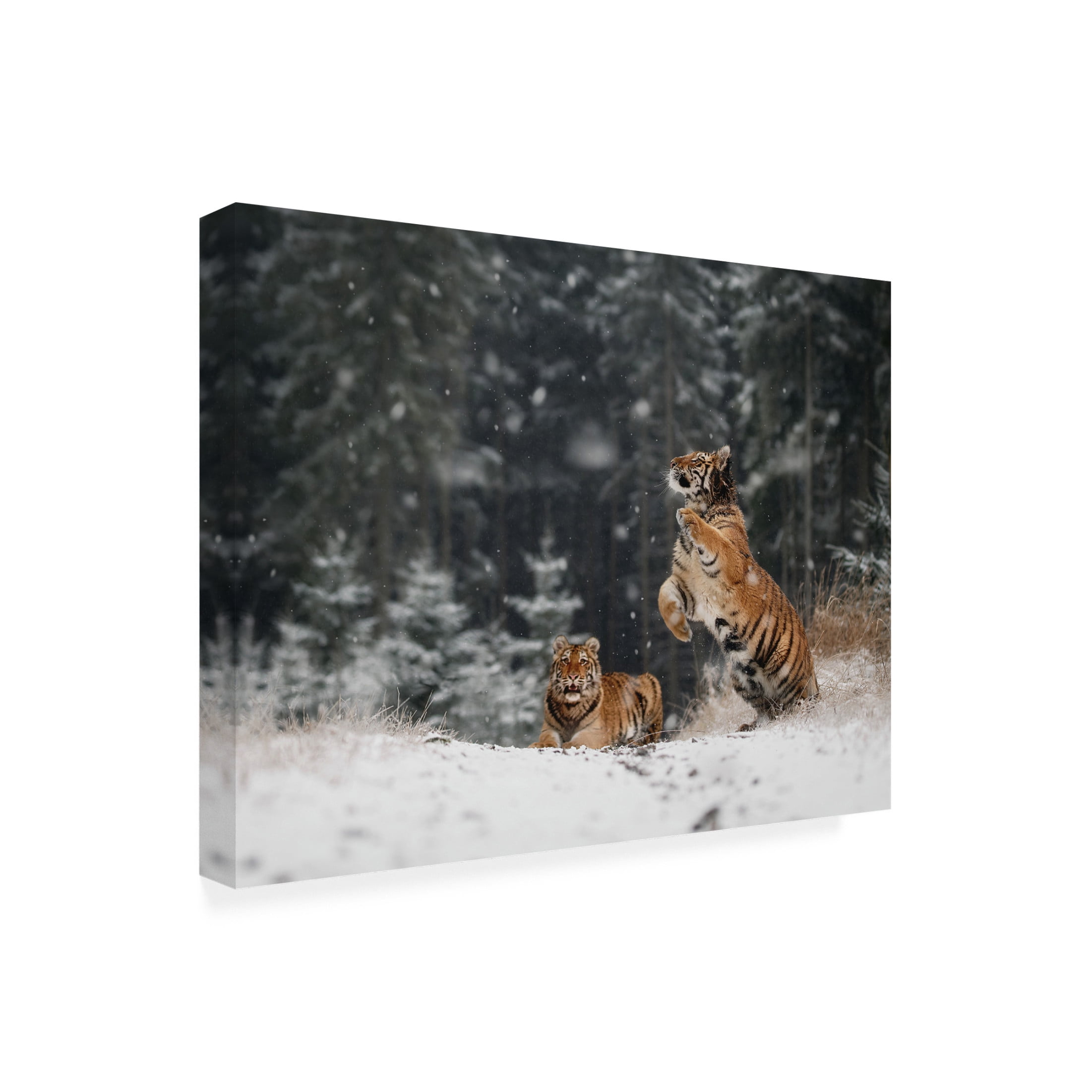 Trademark Fine Art Michaela Firesova It Is Snowing Canvas Wall Art