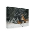 thumbnail image 4 of Trademark Fine Art Michaela Firesova It Is Snowing Canvas Wall Art, 4 of 4