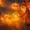 Yellow#055, variant on Halloween Pumpkin String Lights,LED Battery Operated Orange Fairy Lights for Indoor Outdoor Party, Home, Garden, and Holiday Decoration,1m,1m