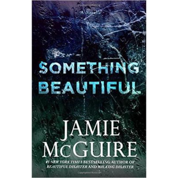 Pre-Owned Something Beautiful: A Novella (Paperback) 1512284041 9781512284041