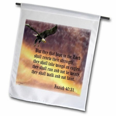 Rise Against Flag - 3dRose Isaiah 40-31 Bible verse with eagle against a troubled sky, Garden Flag, 18 by 27-Inch