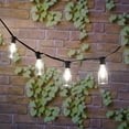 thumbnail image 4 of Mainstays 10-count Warm White LED Bottle String Lights - Black Wire, 4 of 6