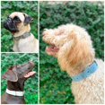 thumbnail image 3 of Tuff Pupper Collier pour Chien Classique Robuste / 10x Plus Résistant Que le Cuir / 100 % Imperméable & Anti-Odeur Collier pour Chien / Matériel Tout en Métal Antirouille, 3 of 3