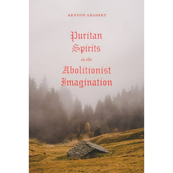 American Beginnings, 1500-1900 Puritan Spirits in the Abolitionist Imagination, (Hardcover)