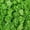 green, variant on 50PCS Artificial Rose Flowers, Artificial Rose Flower Heads,PE Foam Rose Head Artificial Flowers Garland Wedding Valentine's Day DIY Gifts Home Decoration Green