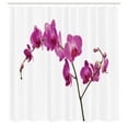 thumbnail image 3 of Ambesonne Flowers Shower Curtain, Wild Orchids Petals, 69"Wx84"L, Violet, 3 of 5