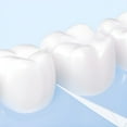 thumbnail image 4 of RAGUPEL 2026 New High-Quality Dental Floss Picks 100 Count,Comfortable Grip,Easy to Use for Effective Oral Hygiene Disposable Products for Home,Travel,Dental Office, 4 of 6