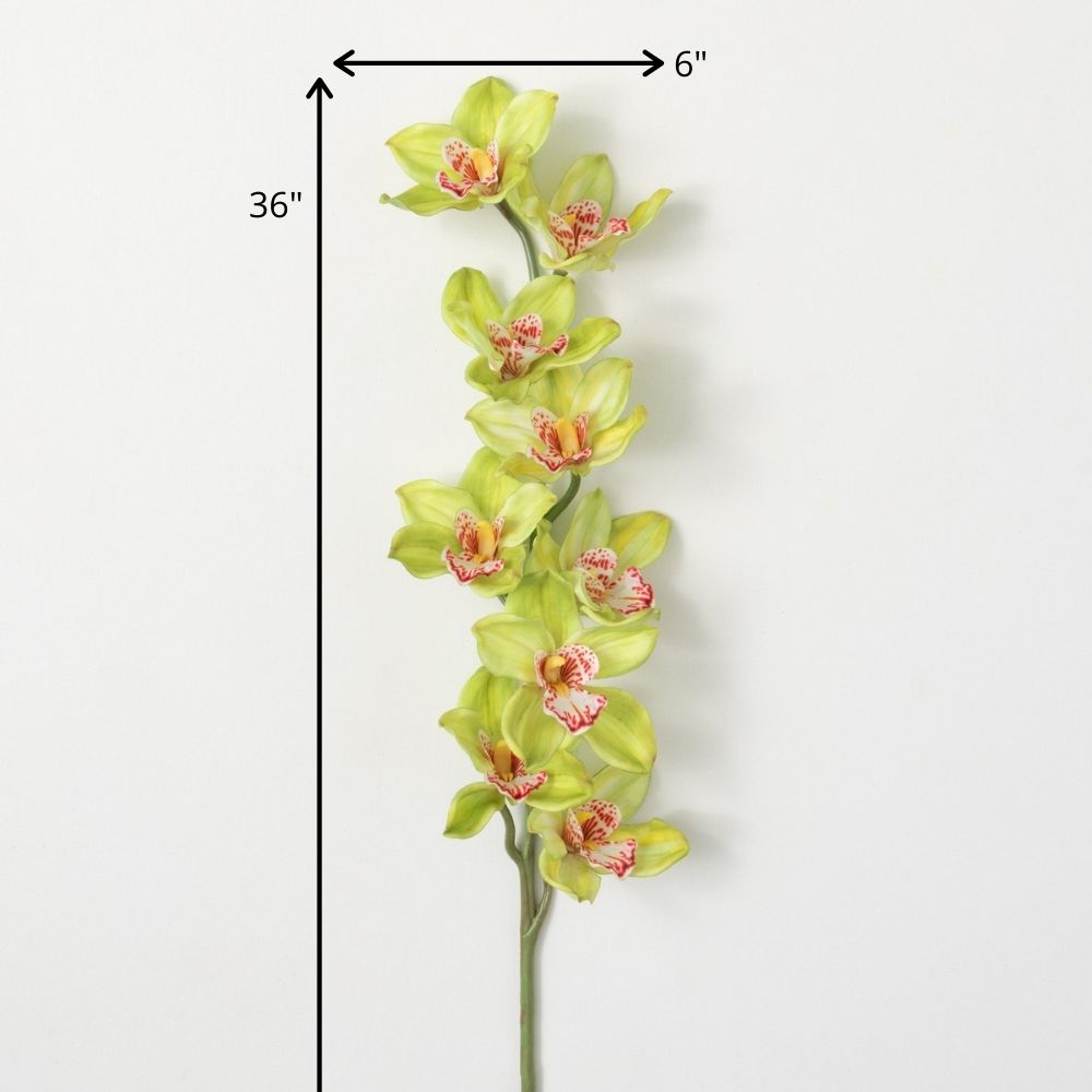 Sullivans Artificial Lime Green Orchid 36"H Green