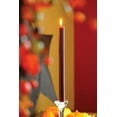 thumbnail image 6 of ROOT Candles Unscented Smooth Arista™ Taper Candles, 12-Inch Tall, Box of 12, Color: Garnet, 6 of 6